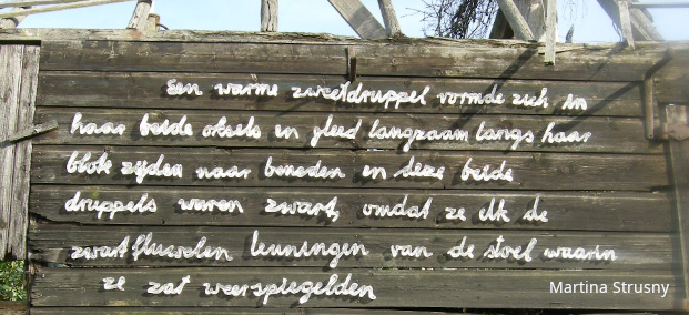 slide2012Strusny